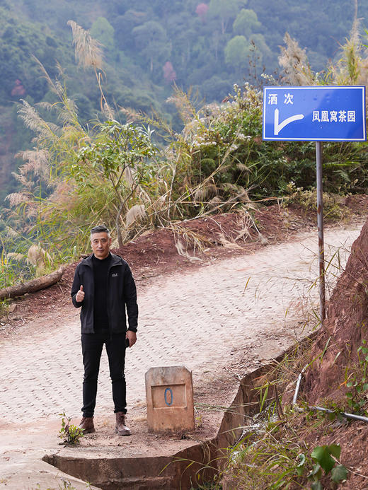 【福利分享】【凤凰寨窝心散茶】2025年头春凤凰寨“窝心”核心古树资源，福利分享给茶友，让茶友感受一下“窝心”古树的真正魅力！500克/份 商品图3