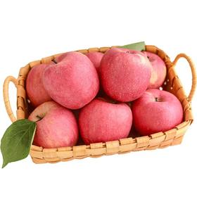 90#水晶红富士苹果 500g