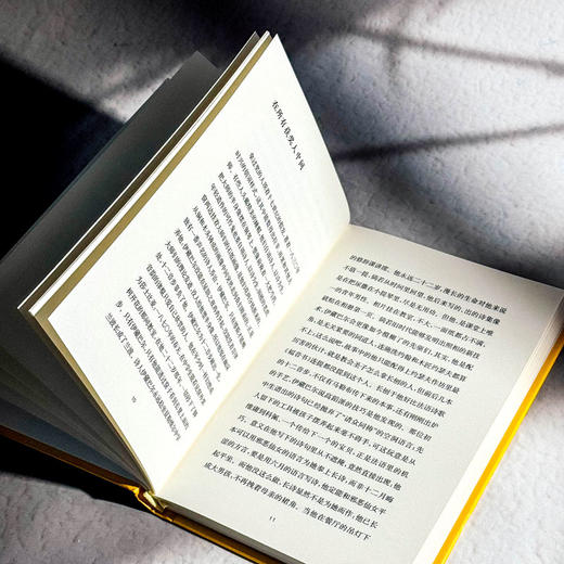 兰波这小子 传记式虚构系列 皮埃尔·米雄 六点图书 商品图9