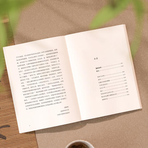 杜甫传2025平装版 冯至中莫砺锋推荐小学生阅读语文课标推荐磨铁 商品图3