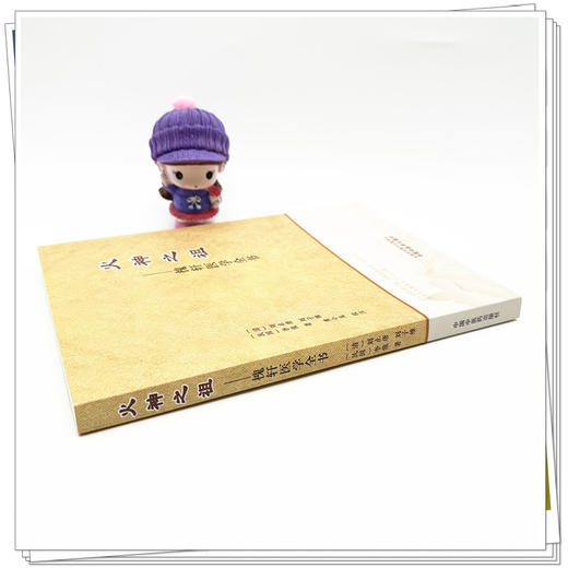 火神之祖:槐轩医学全书 (清) 刘止唐 刘子维 李俊 著 中国中医药出版社 经验良方活幼心法大全医案效方 临床书籍 商品图2