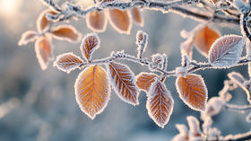 肺结节越来越多，秋季如何养肺？ 