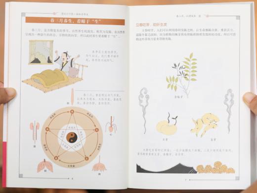 漫画大中医（全3册）| 一书集齐中医经典精华，抗老·防病·养颜·健体·调理，全家老小都能用的养生宝典 商品图5