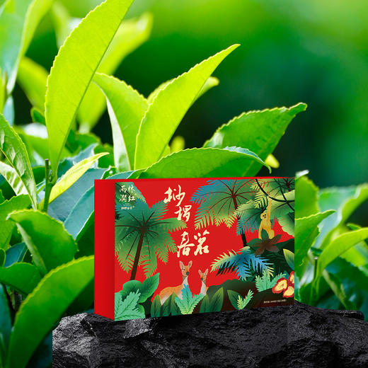 桫椤春茗·红茶 商品图4