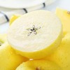 【顺丰可选❗️山东黄金维纳斯苹果】苹果中的贵族，纯甜无酸味，糖度达到17+，黄金生长地带，新鲜脆甜脆甜多汁，糖心黄苹果新鲜水果非黄元L 商品缩略图1