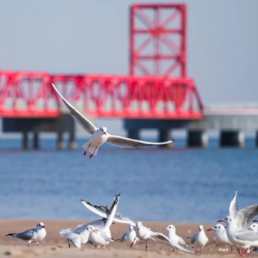 暖冬大促！1晚/2晚【北戴河如是海英迪格酒店】湖景房/私汤大床房/私汤&庭院套房可选，含火锅/水乐园/下午茶/围炉煮茶、颂钵疗愈、旅拍照片等，打卡北戴河如是海顶流度假酒店！~ 商品图1