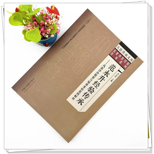 范永升经验传承:风湿诊治精要与疑难重症案例解析 李正富 主编 中国中医药出版社 大医传承文库:名老中医经验传承系列 商品图1