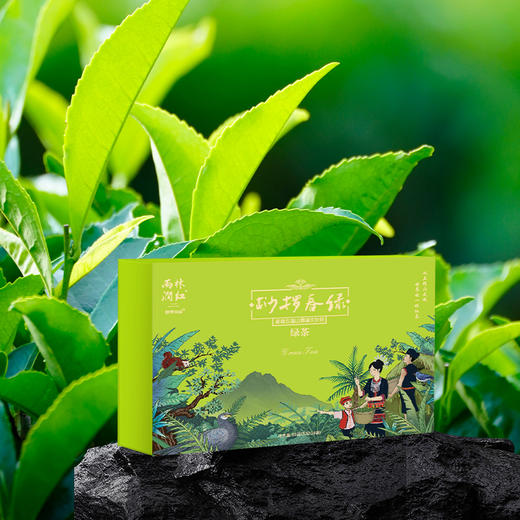 桫椤春绿·绿茶 商品图4