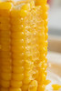 ‼️福利🧧（双十一多送1根）甜糯嫩Q弹｜内蒙古金云蜜甜糯619黄金玉米 商品缩略图3
