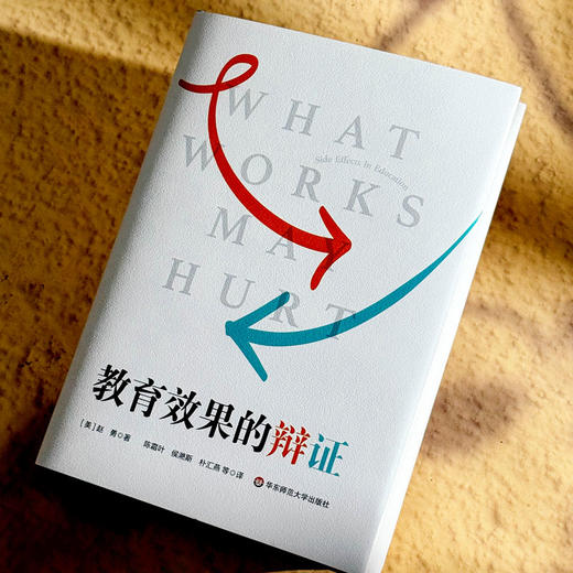 教育效果的辩证 商品图2