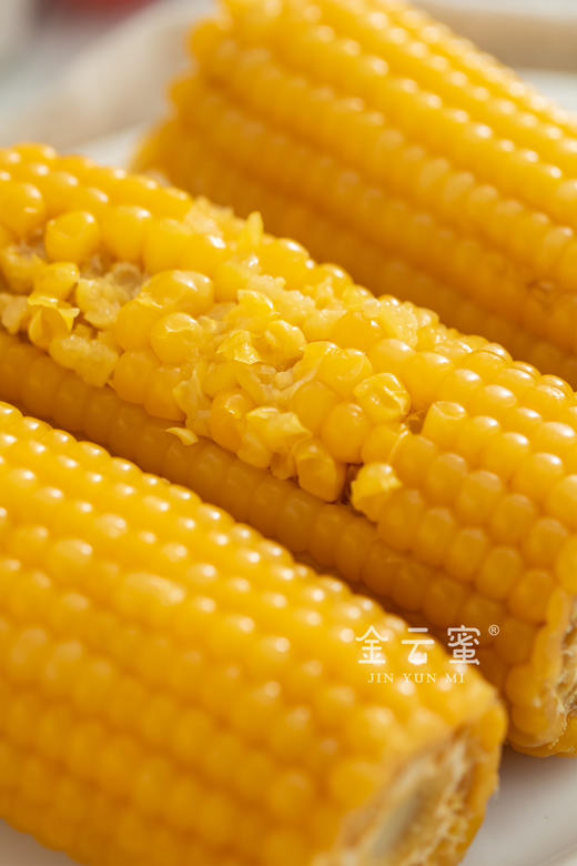 ‼️福利🧧（双十一多送1根）甜糯嫩Q弹｜内蒙古金云蜜甜糯619黄金玉米 商品图2