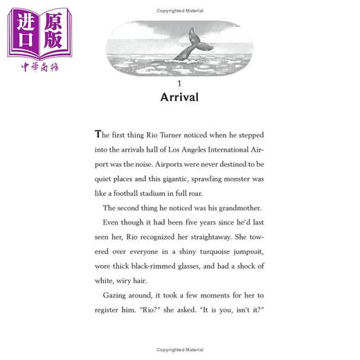 预售 【中商原版】Hannah Gold 童书2册 最后的鲸鱼The Lost Whale 最后的熊The last bear 英文原版 儿童冒险故事插图小说文学读物 商品图4