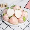 【分仓直发包邮】淡雪草莓250g/盒*2盒（20粒/盒） 商品缩略图0