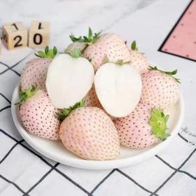 【分仓直发包邮】淡雪草莓250g/盒*2盒（20粒/盒）