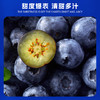 云南花香蓝莓  新鲜水果  大果 发京东陆运快递 商品缩略图1