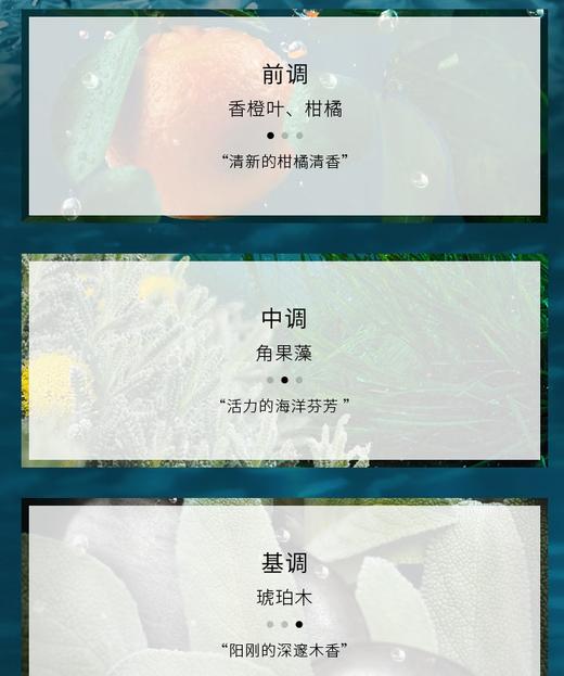 【航免仓】BVLGARI宝格丽海能量海蓝100ml 商品图1