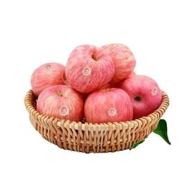 王掌柜苹果 约500g/份