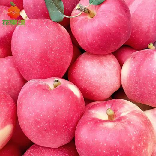 【当季新鲜】甘肃静宁苹果 2个约1斤 商品图0