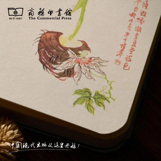 【商务印书馆涵芬文创】北平笺谱手账本 商品图5