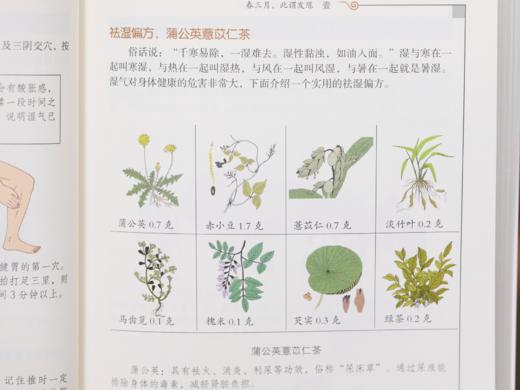 漫画大中医（全3册）| 一书集齐中医经典精华，抗老·防病·养颜·健体·调理，全家老小都能用的养生宝典 商品图7