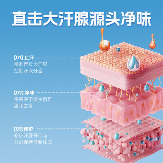 【第2瓶半价❗️香港九龙草本香氛止汗露】清新干爽，自带体香，全新升级，不止抑汗，还是香水！夏季腋下去汗味小巧便携滚珠香体露 商品图3