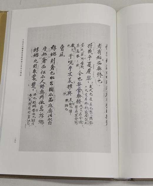 《日藏诗经古写本刻本汇编第一辑(精装）（ 全12册）》，作者：王晓平主编，中华书局出版社，2016年1月一版一印，定价：3800，售价：1400（包邮）偏远地区除外。

王晓 商品图8