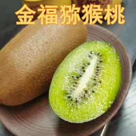 【分仓直发包邮】金福猕猴桃小果15枚（单果70-90g）硬果即食，纯甜