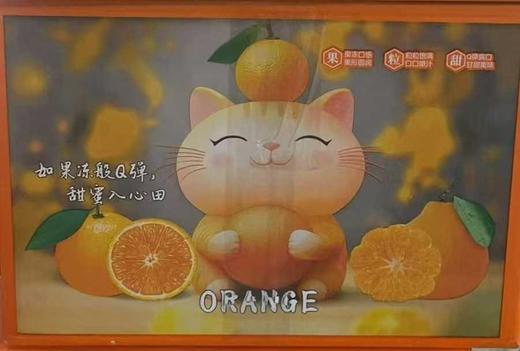 生态耙耙柑开售5 斤装13-16个中果 商品图1