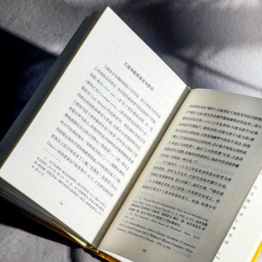 兰波这小子 传记式虚构系列 皮埃尔·米雄 六点图书 商品图11