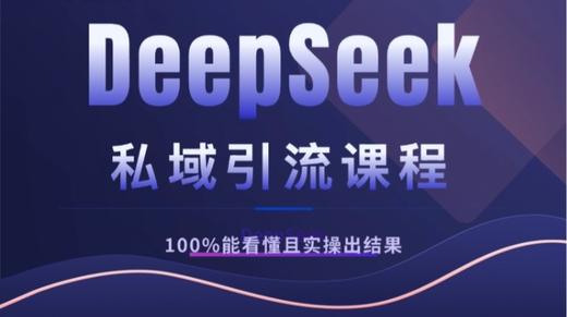 DeepSeek的深度应用（上） 商品图0