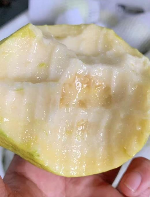 周日取货：【心动双拼芭乐】一箱毛重3斤左右，香甜清爽超好吃~ 商品图4