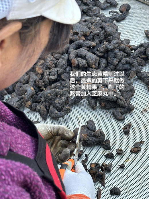 【生态黄精果】疲劳拜拜 焕颜抗松弛 | 强韧秀发 | 调养肾脏活力 | 滋阴润养 | 气血焕新秘籍 商品图2