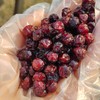 大兴安岭野生蔓越莓干 商品缩略图7