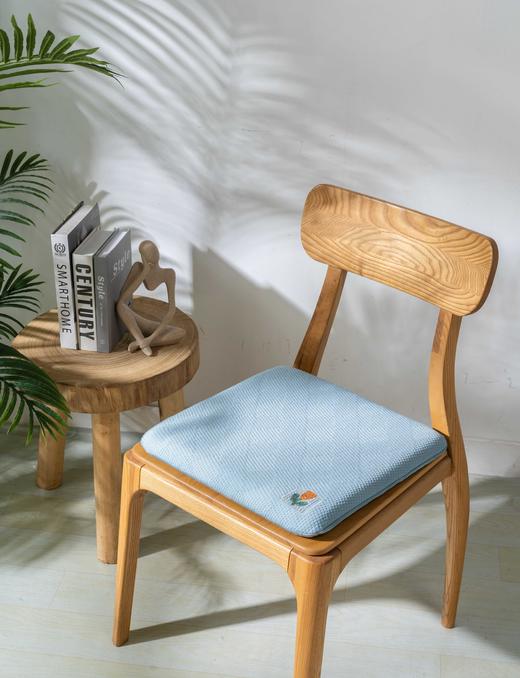 【新品】清柔记忆凉坐垫 商品图9