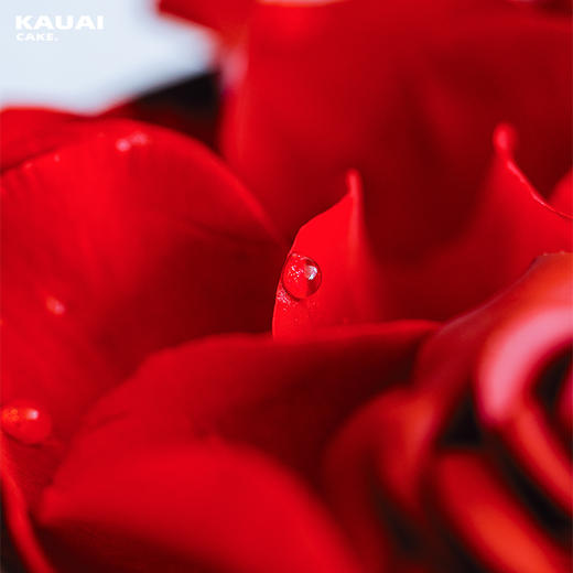 烤爱·生日蛋糕系列·挚爱一生·玫瑰花 高级草莓口味生日蛋糕·芝士蛋糕胚下午茶蛋糕送礼【深圳同城配送】 商品图3