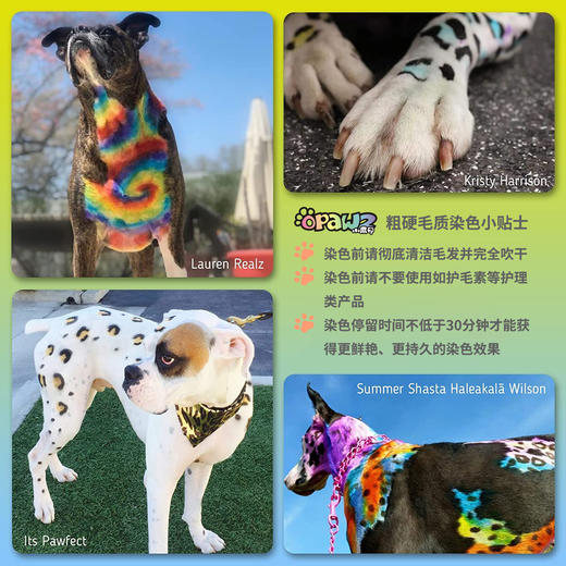 宠物持久染色剂：火焰橙色Flame Orange OPAWZ小爪印 商品图6