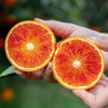 【斌哥优选】玫瑰血橙。除天地盖礼盒规格，其余都多送一斤。自带玫瑰香味的橙子。维c含量高，9甜1酸，不催熟不打蜡，sgs118项未检测出。发京东。不是每个都有血丝哦~ 商品缩略图1
