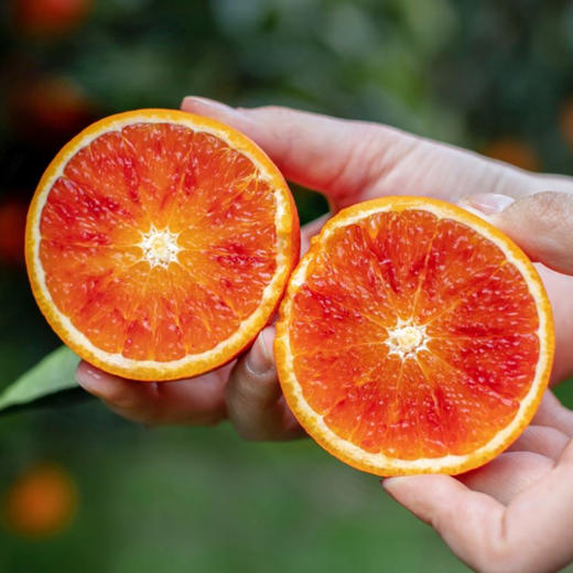 【斌哥优选】玫瑰血橙。除天地盖礼盒规格，其余都多送一斤。自带玫瑰香味的橙子。维c含量高，9甜1酸，不催熟不打蜡，sgs118项未检测出。发京东。不是每个都有血丝哦~ 商品图1