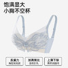 【拍2件199元】【中厚杯】熳洁儿 小胸聚拢文胸法式蕾丝云感棉AB通杯商场同款25201538 商品缩略图2