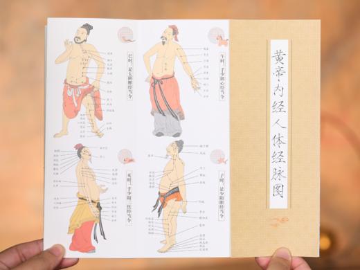 漫画大中医（全3册）| 一书集齐中医经典精华，抗老·防病·养颜·健体·调理，全家老小都能用的养生宝典 商品图6