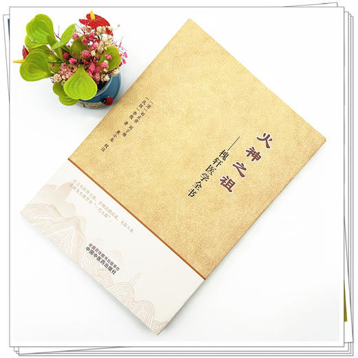 火神之祖:槐轩医学全书 (清) 刘止唐 刘子维 李俊 著 中国中医药出版社 经验良方活幼心法大全医案效方 临床书籍 商品图1