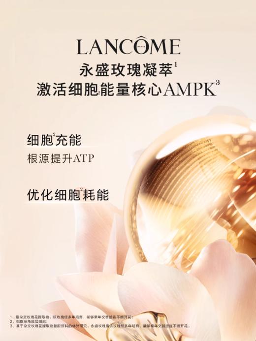 【限时好价】兰蔻箐纯组合：兰蔻菁纯面霜60ml+菁纯眼霜20ml+菁纯面霜小样15ml 商品图5