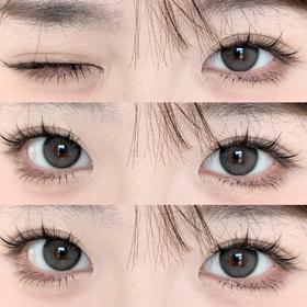 Curly Puppy半年抛美瞳 小狗乖乖 14.2mm