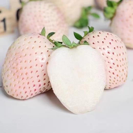 【分仓直发包邮】淡雪草莓250g/盒*2盒（20粒/盒） 商品图1
