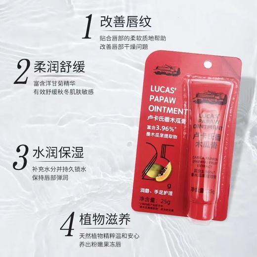 澳洲Lucas’Papaw Ointment卢卡氏番木瓜膏25g 商品图7