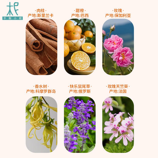 平衡小柅 5号 橙色欢情 纯精油5ml  生殖系统  小腹部  闻嗅 /扩香 调油 商品图2