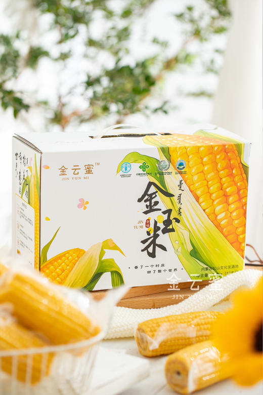 ‼️福利🧧（双十一多送1根）甜糯嫩Q弹｜内蒙古金云蜜甜糯619黄金玉米 商品图6