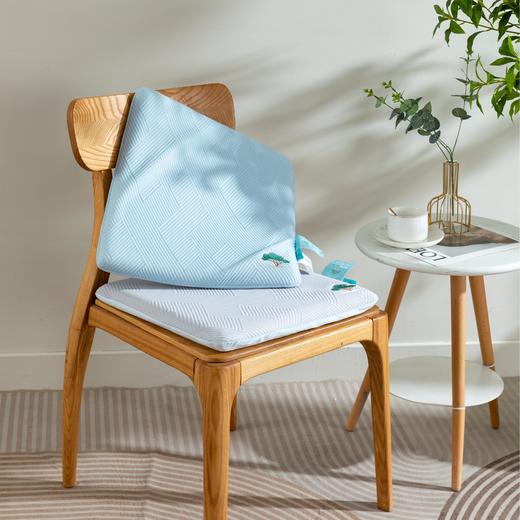 【新品】清柔记忆凉坐垫 商品图0