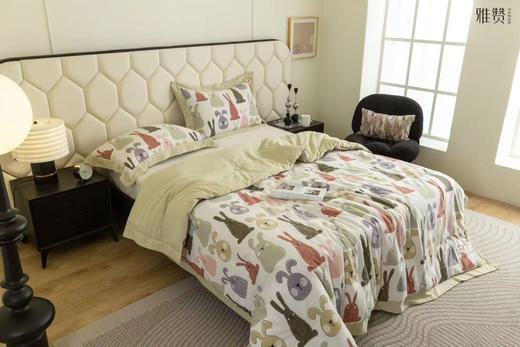 雅赞-春秋被 商品图1
