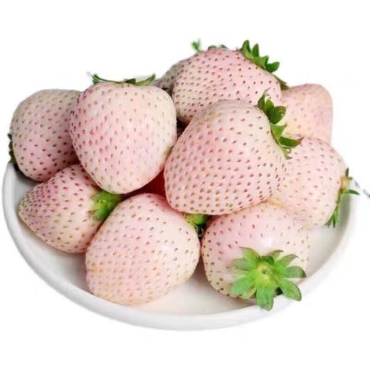 【分仓直发包邮】淡雪草莓250g/盒*2盒（20粒/盒） 商品图4